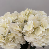 Kunstig Hortensia Buket - Creme