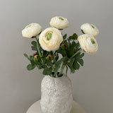 Ranunculus Buket