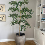Kunstigt Shady Grey (213 cm)