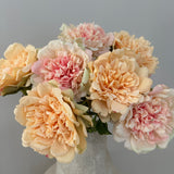 Wild Peony