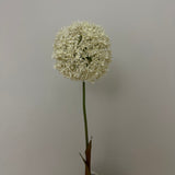 Kunstig Allium - Hvid