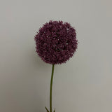 Kunstig Allium - Lilla