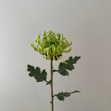 Kunstig Chrysanthemum - Grøn