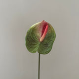 Kunstig Anthurium - Grøn