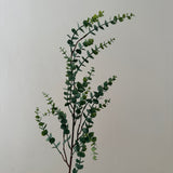 Kunstig Eucalyptus 'Gunni'