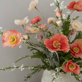 Coral Poppy Love (VORBESTELLUNG)