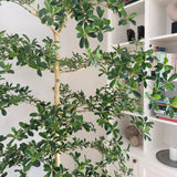 Kunstigt Shady Grey