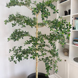 Kunstigt Shady Grey