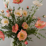 Coral Poppy Love (VORBESTELLUNG)