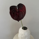 Kunstig Anthurium - Bordeaux