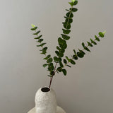 Kunstig Eucalyptus