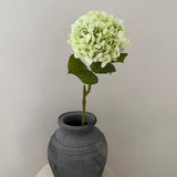Hortensia Belle - Lightgreen