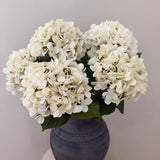 Kunstig Hortensia Belle Buket - Ivory (5 stk)