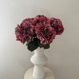 Hortensia Stor Bordeaux