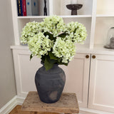 Hortensia Belle - Lightgreen