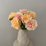 Wild Peony