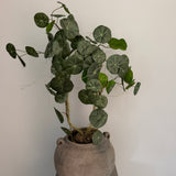 Kunstig Stephania plante (55 cm)