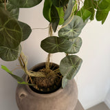 Kunstig Stephania plante (55 cm)