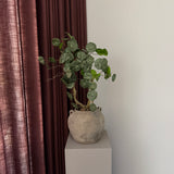 Kunstig Stephania plante (55 cm)