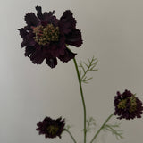 Kunstig Scabiosa - Bordeaux