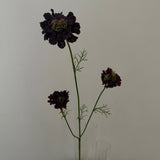 Kunstig Scabiosa - Bordeaux