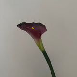 Kunstig Calla - Lilla