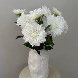 Dahlia 2 heads