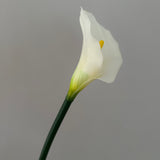 Kunstig Calla - Hvid