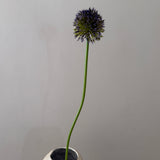 Kunstig Allium Curl - Dyb lilla