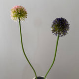 Kunstig Allium Curl - Dyb lilla