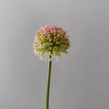 Kunstig Allium Curl - Lyserød