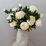 'Peony Dream' - White