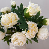 'Peony Dream' - White