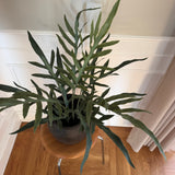 Kunstig bregne plante