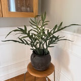 Kunstig bregne plante