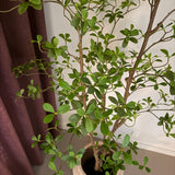 Kunstigt Dodan træ (180 cm)