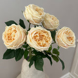Austin Rose Buket