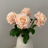 Rose Buket