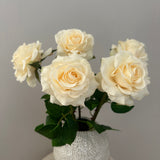 Rose Buket
