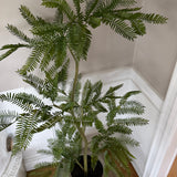 Kunstigt Mimosa træ (150 cm)