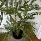 Kunstigt Mimosa træ (150 cm)