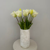 Parrot Tulipan Buket Hvid