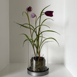 Kunstig klokkeblomst (30 cm) - LIlla