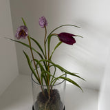 Kunstig klokkeblomst (30 cm) - LIlla