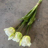 Kunstig Parrot Tulipan bundt - Hvid