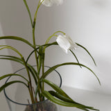 Kunstig klokkeblomst (30 cm) - Hvid