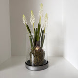 Kunstig perlehyacint (25 cm) - Hvid