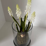 Kunstig perlehyacint (25 cm) - Hvid