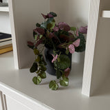 Kunstig senecis plante (23 cm)