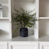 Kunstig Muehlenbeckia (50 cm)